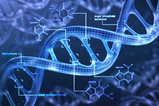 best methylation test