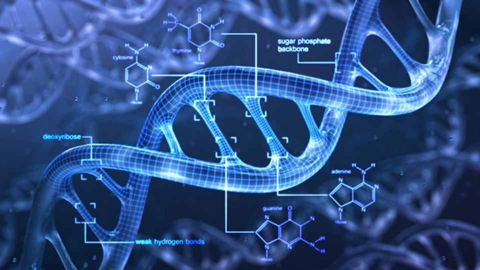 best methylation test